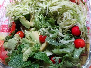 tamy salada de horta