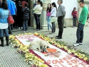 Morte de cadela querida alerta para maus-tratos em Oliveira, MG