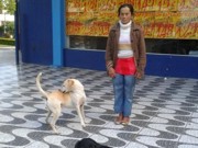 Cianorte (PR): Idosa de 63 anos mora na rua para não abandonar seus cães