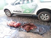 Polícia Ambiental prende dois homens por abate de capivara em Santa Fé do Sul, SP