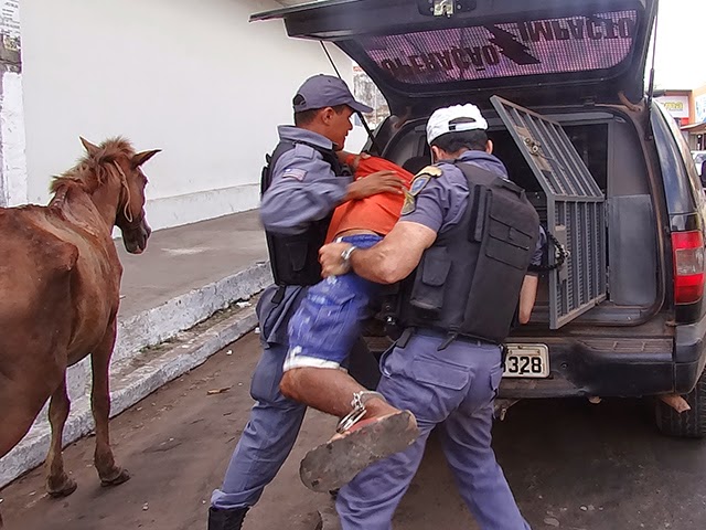 PM prende carroceiros por maus-tratos de animais em Imperatriz, MA