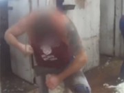 ONG divulga vídeo e denuncia tortura de animais