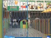 Moradores invadem pet shop abandonado na zona oeste do Rio e resgatam animais