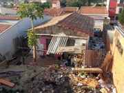 Após denúncia, CCZ de Capivari (SP) encontra três cães mortos e um abandonado em casa