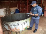 Pai e filho são suspeitos de manter ‘rinha’ de galo em Iacanga, SP