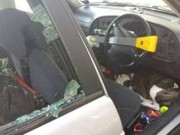 Cão é abandonado em carro e polícia quebra vidros em resgate