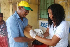 Feira de Santana (BA) espera vacinar cerca de 85 mil animais contra raiva
