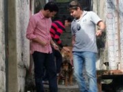 Operação para resgate de animais vítimas de maus-tratos em Niterói
