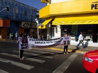 ONG realizou Pedágio de Conscientização contra abandono e maus-tratos de animais em Fernandópolis, SP
