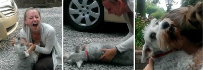 Jovem reencontra cadela após dois anos e animal desmaia de alegria; assista ao vídeo