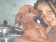 Clínicas veterinárias são fiscalizadas após morte de cadela em Goiânia