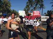 Após envenenamento de cães, grupo protesta contra maus-tratos animais