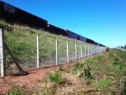 Animais ganham travessias subterrâneas ao longo da ferrovia em Mato Grosso