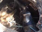 Mula é resgatada de poço desativado em área rural de Araçatuba