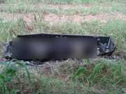 Moradores encontram animais mortos em um caixão em Criciúma, SC
