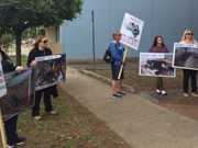 Ativistas confrontam na Justiça acusado de criar filhotes de cães na Austrália