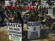 Ativistas protestam contra touradas na Colômbia