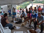 Vigilância castra e chipa 250 animais no Monjolinho e Vitória em Mairinque, SP