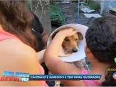 Homem quebra patas de cão com taco de sinuca no RJ