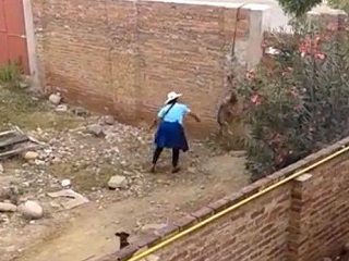 Mulher prende cachorro com corda e o mata atirando tijolos na Bolívia