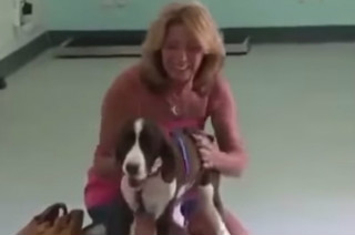 Mulher se emociona ao ver seu cachorro andar novamente em Califórnia, EUA