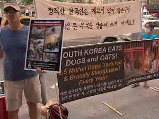 Protesto em Nova York contra o “Festival de carne de cães” da Coréia do Sul