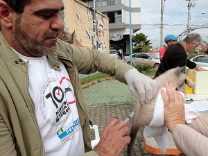 Começa vacinação de cães e gatos na zona rural de Nova Serrana, MG