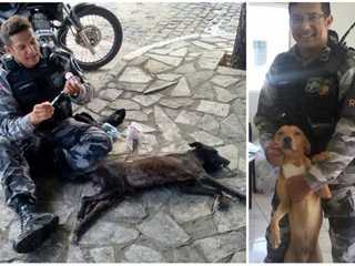 ‘Vendi carro para ajudar’, diz policial que cuida de 180 animais na Paraíba