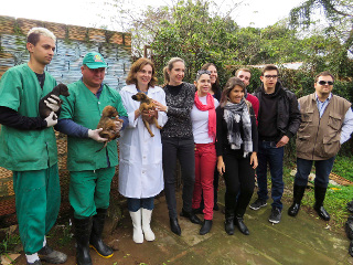 Investigação científica avalia perfil de acumuladores de animais em Porto Alegre, RS
