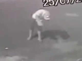 SP: Vídeo flagra rapaz tentando enforcar gato e causa revolta