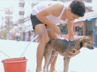 Vídeo de homem que dá banho em cachorros de rua na Tailândia emocionou o mundo