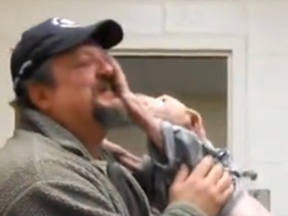 Filhote de pitbull tem reação emocionante após reencontrar homem que salvou sua vida