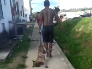 Homem agride cachorro com barra de ferro e joga animal no lixo em Manaus, AM