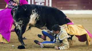 Espanha: Partido Animalista rejeita desejos de morte aos toureiros mesmo entendendo a revolta contra quem faz os touros sofrerem
