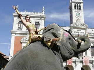 Valladolid se somará às cidades que limitam a presença de circos com animais na Espanha