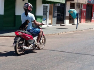 Cão ‘passeia’ perigosamente na garupa de moto em cidade de MT