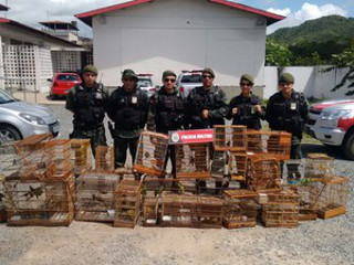 Polícia Ambiental resgata mais de 170 aves silvestres em Guarabira, PB