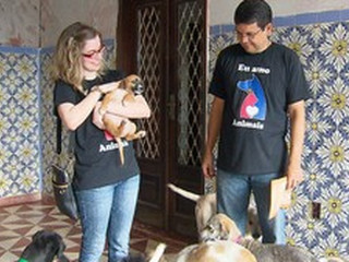 PE: No Recife, grupo de voluntários cuida de animais e os prepara para adoção