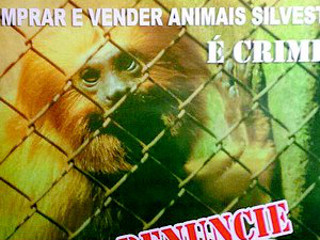 RJ: Polícia Florestal ocupará área de Caxias para acabar com tráfico de animais