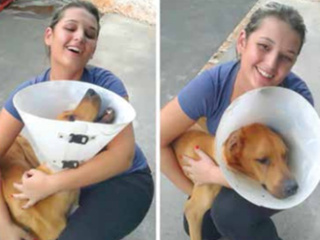 SP: Casal se sensibiliza e adota cão abandonado em rodovia