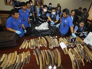 Laos sabota repressão internacional ao tráfico de marfim e de animais