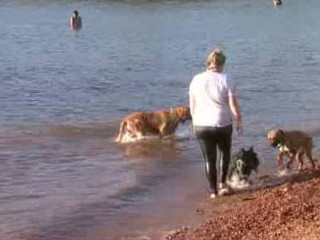 Frequentadores colocam cachorros no Lago Paranoá em protesto contra proibição de animais na Ermida Dom Bosco, em Brasília, DF