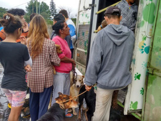 Animais são resgatados de região alagada, em Porto Alegre, RS