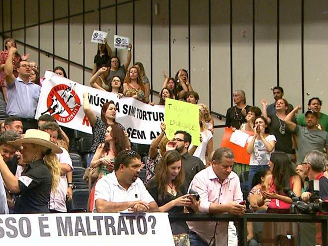 Votação de projeto que proíbe rodeios em Ribeirão Preto (SP) causa tumulto na Câmara