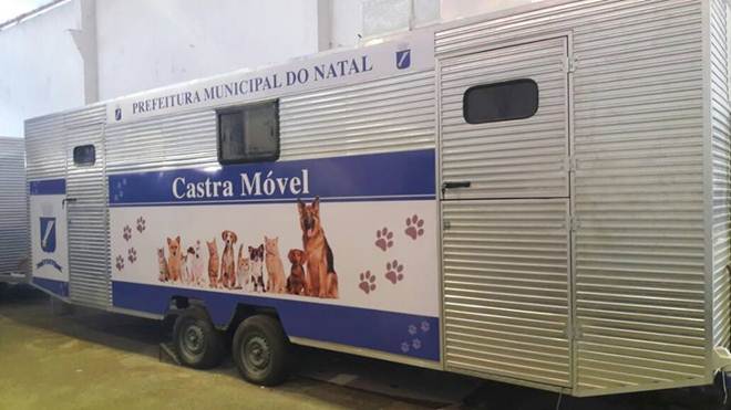 Justiça bloqueia R$ 255 mil para assegurar castração de cães e gatos em Natal, RN