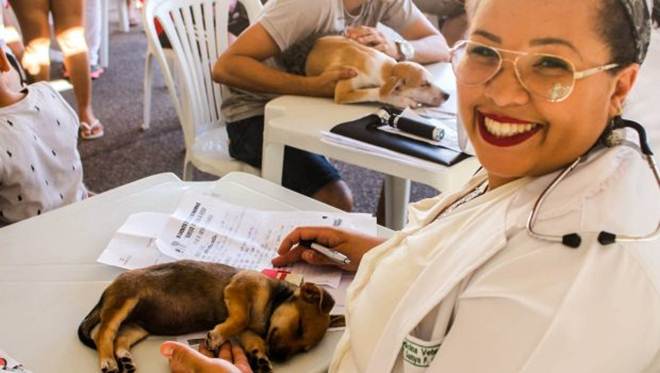 Evento adoção bate recorde e mais de 70 animais ganham um novo lar em Natal,  RN | Olhar Animal