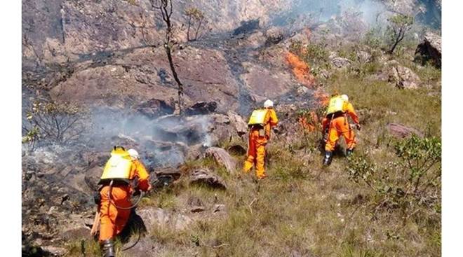 Fogo destrói 675 hectares de santuário natural na Bahia e mata animais