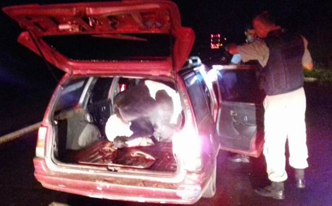 Trio é preso com uma vaca dentro de carro na Freeway, em Gravataí, RS