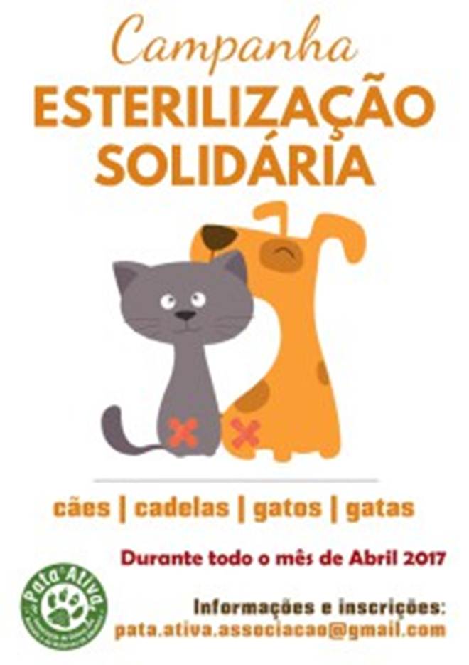 Portugal: Câmara de Albufeira apoia Associação Pata Ativa em campanha de esterelização