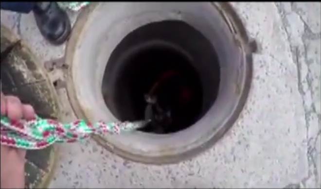 Bombeiros resgatam cachorro que caiu em boca de lobo em SC; vídeo